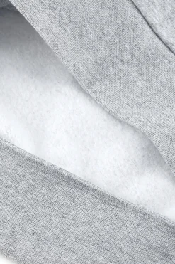 Felpa Grigia Con Cappuccio Champions Hooded Sweatshirt