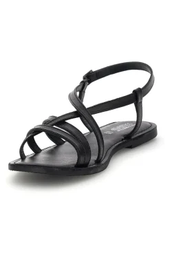 PITTARELLO SUN TIM9936 SCHWARZ