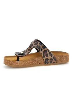 PITTARELLO TIERRA 335A2177SR LEDER