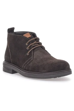 Polacchini Vera Pelle Marrone Longford 505
