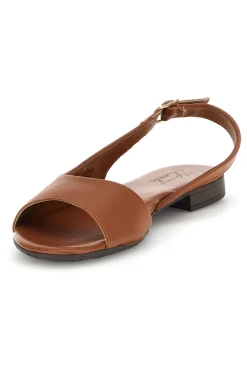 Sandali marroni in pelle con cinturino Pittarello look 225110