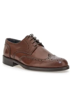 Scarpe eleganti marroni in pelle con forature decorative Pittarello 7710