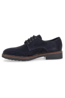 Scarpe stringate Blue in pelle scamosciata Pittarello class 600
