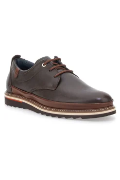Scarpe Stringate Marroni Pittarello Eco 450002