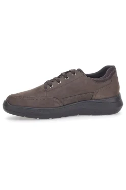 Scarpe Stringate Marroni Pittarello 5792