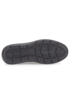 Scarpe Stringate Marroni Pittarello 5792