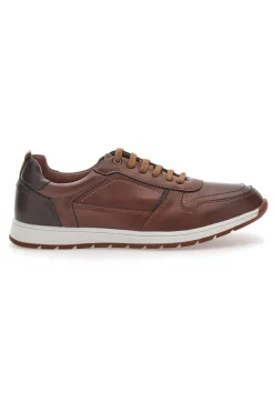 Scarpe Stringate Marroni con Lacci Sevenoaks 202341