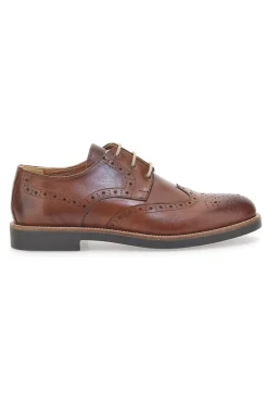 Scarpe Stringate Marroni Con Ricamo All'Inglese Pittarello 8023