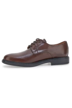 Scarpe Stringate Marroni In Pelle Pittarello 6851