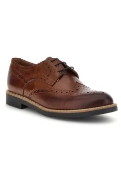 Scarpe stringate marroni in pelle Pittarello 8023