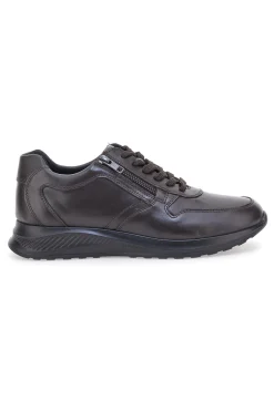 Sneakers marroni in pelle con zip laterale Claremorris 23066510
