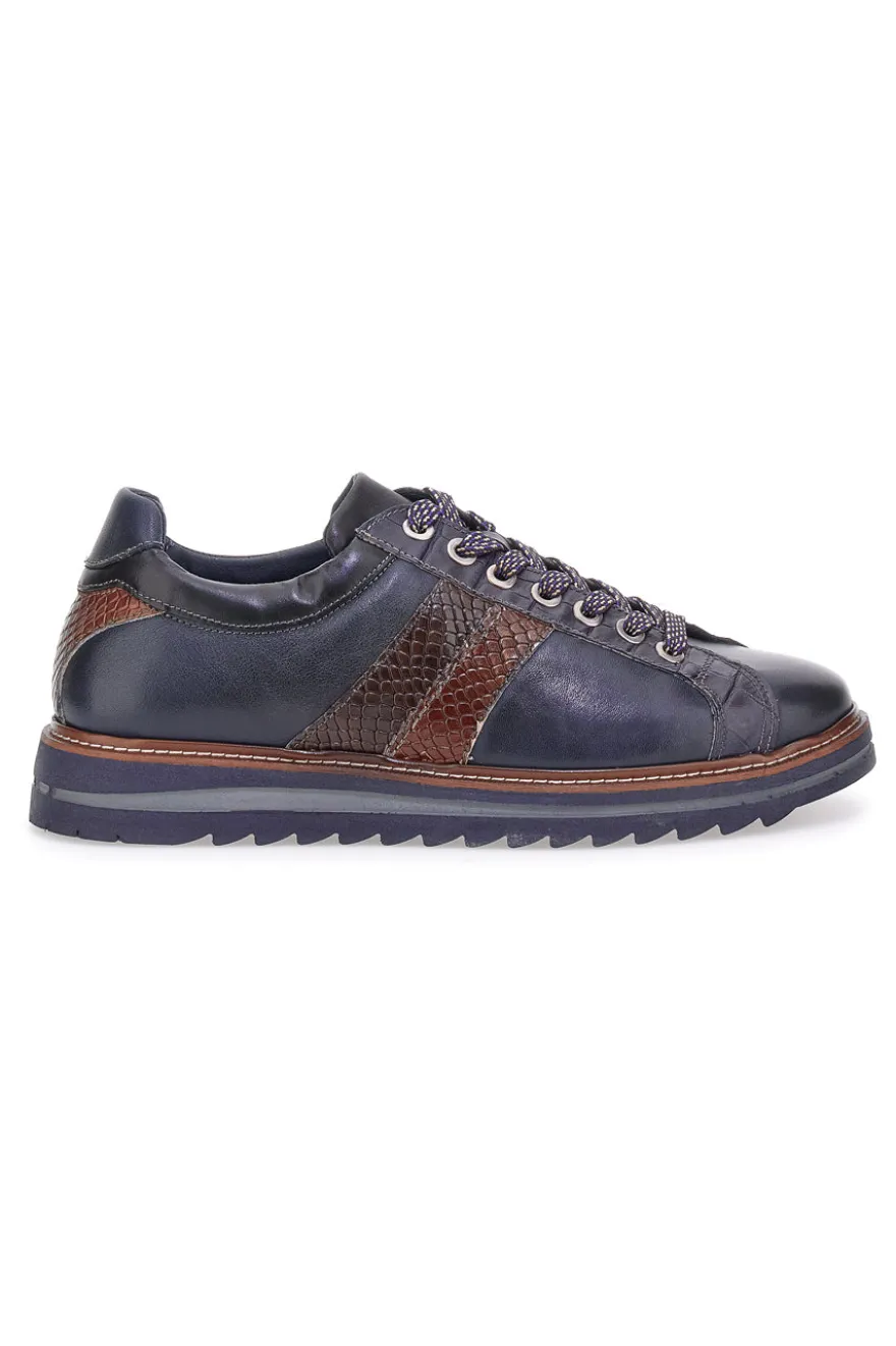 Scarpe stringate blu con inserti effetto pitone e suola carrarmato Pittarello Eco 25276006