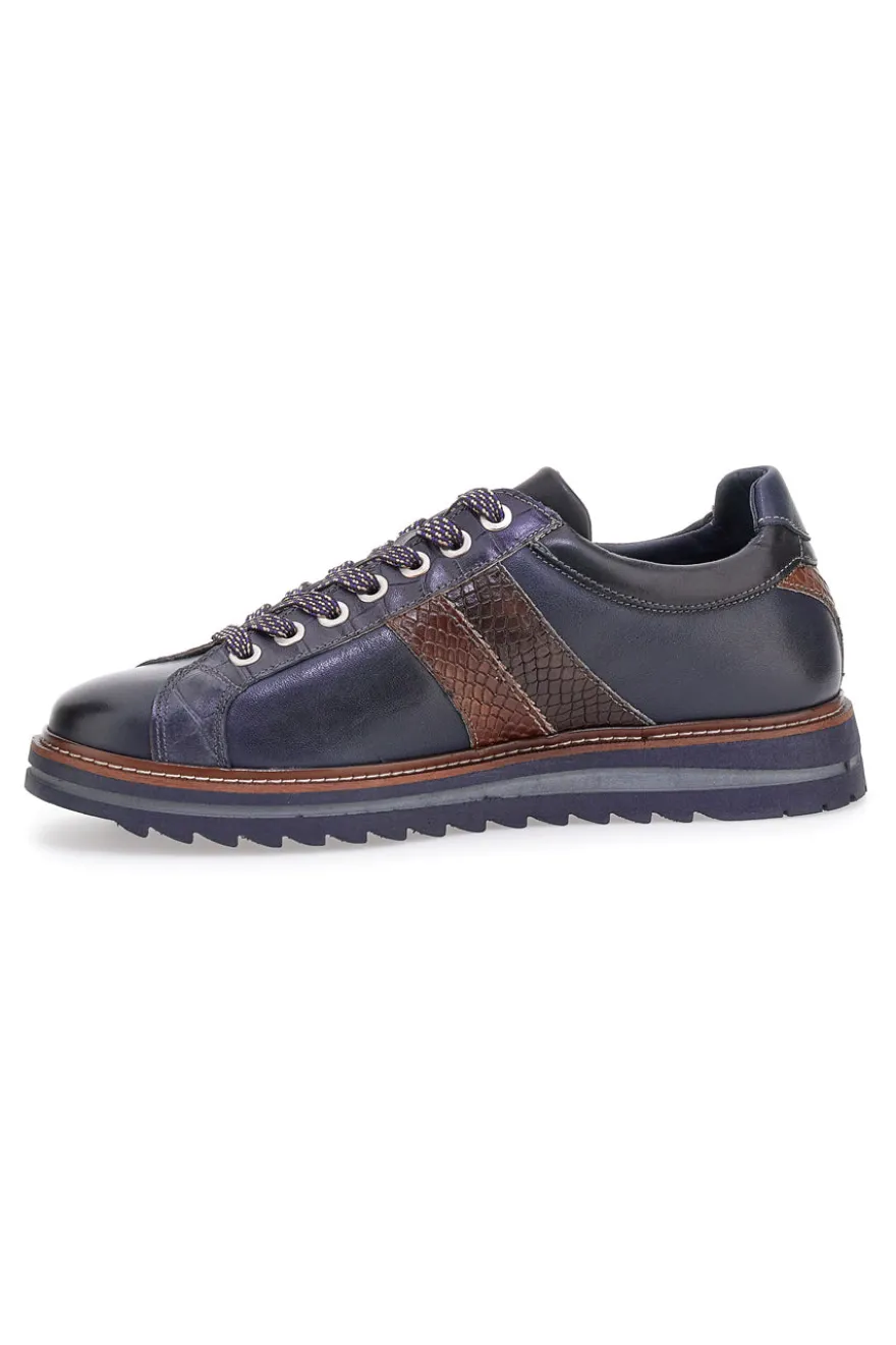 Scarpe stringate blu con inserti effetto pitone e suola carrarmato Pittarello Eco 25276006