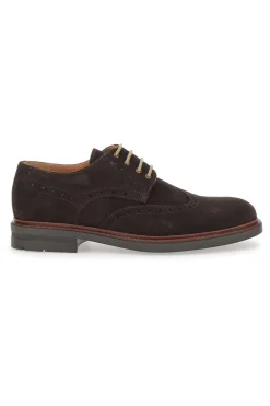 Scarpe Stringate Pittarello 8058 Marroni