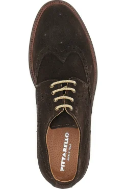 Scarpe Stringate Pittarello 8058 Marroni