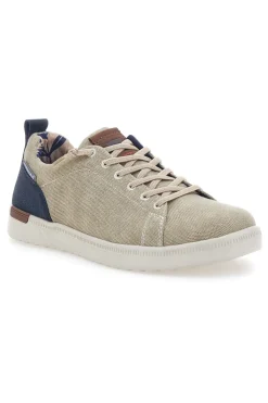Scarpe Stringate Taupe con Tomai in Tessuto CARRERA CAM11102C