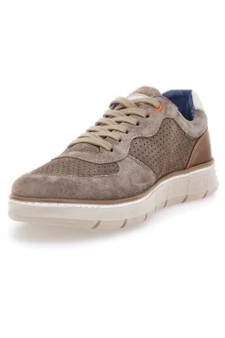 Scarpe stringate taupe traforate con zip laterale Pittarello eco 26111008