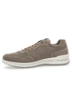 Sneakers marrone MARCO BRANDI 2100